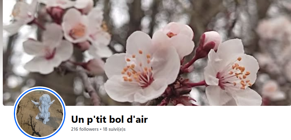 Logo UN P'TIT BOL D'AIR