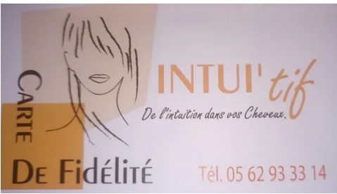 Logo INTUI'TIF