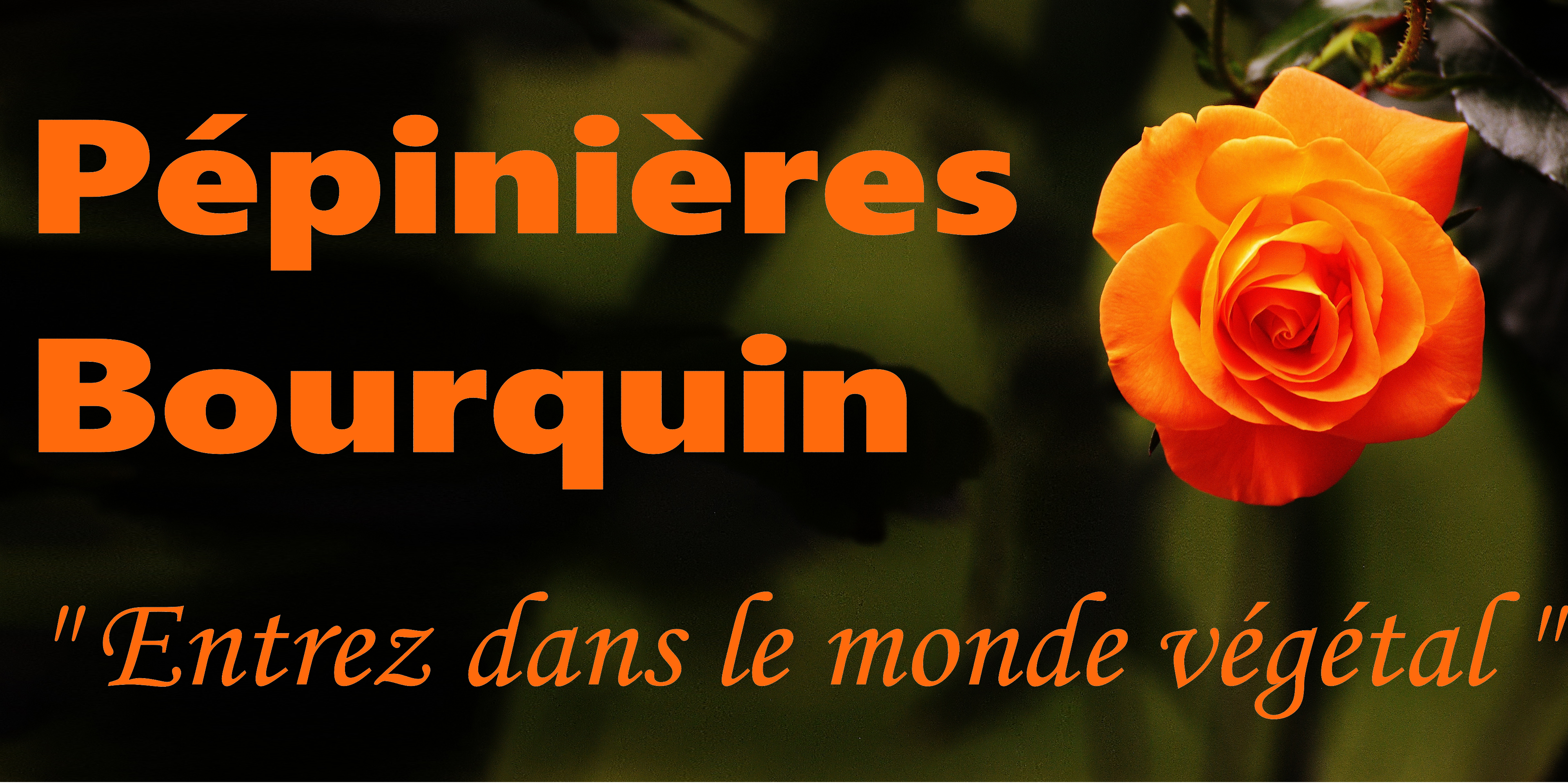 Logo PEPINIERES BOURQUIN