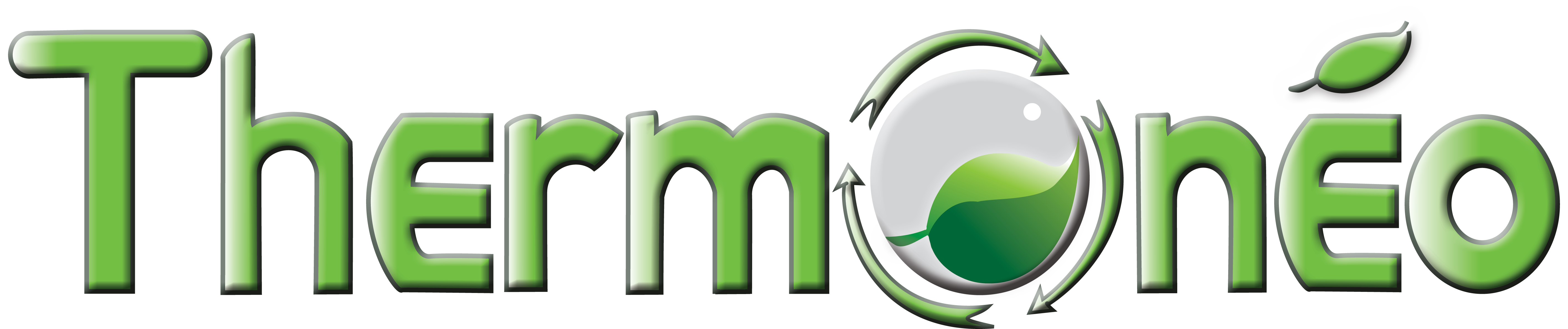 Logo THERMONEO