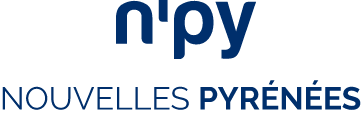 Logo SKI - NPY