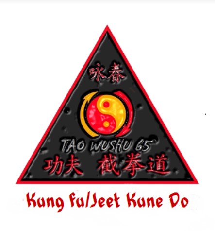 Logo TAO WUSHU 65